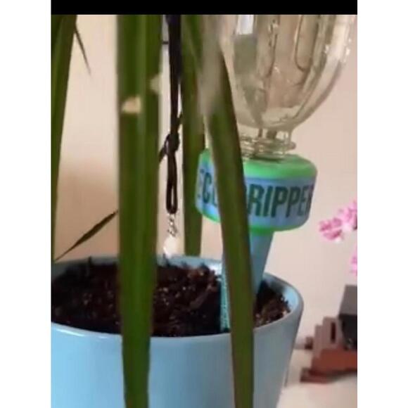 Plant Watering Device - Self Watering Spike And Bottle - Picture 7 of 8